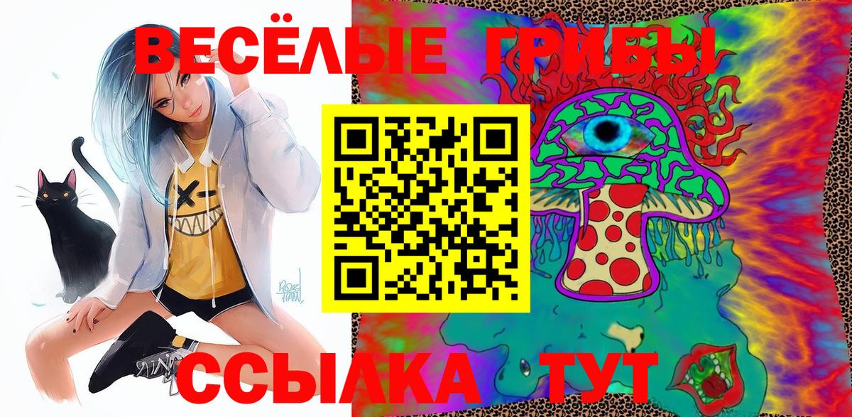 Соль-Илецк  Псилоцибиновые грибы прущие грибы  где продают   Вход с VPN  Псилоцибиновые грибы Cubensis 