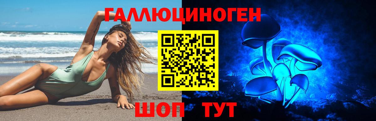 Псилоцибиновые грибы Psilocybine cubensis Соль-Илецк